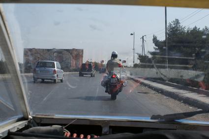 Picture of the day